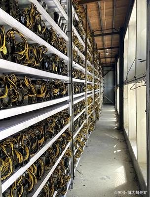 An expansive mining farm hosting various rigs, illustrating the scalable infrastructure for efficient crypto mining